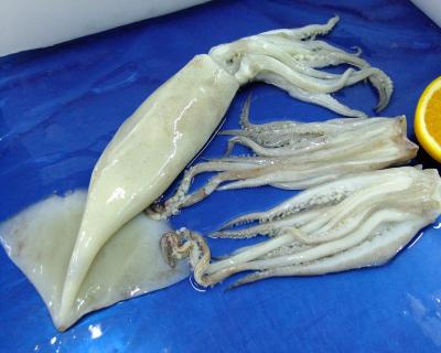 鱿鱼整条